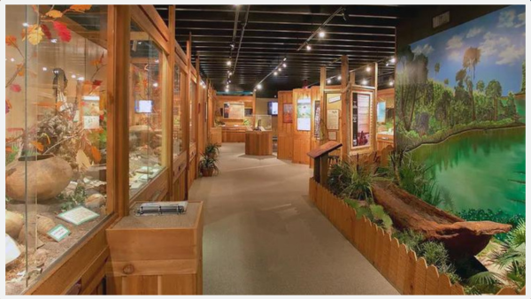 Picture of inside Indian Temple Mound Museum