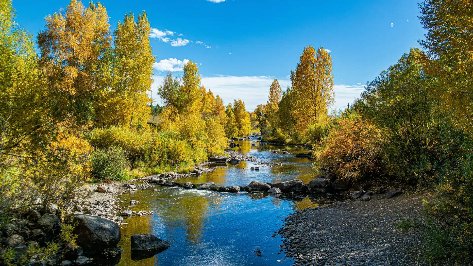 View of creek in the Fall at Steamboat Springs CO