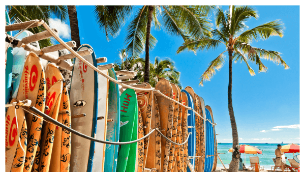 Image of surf boards lined up on Waikiki Beach