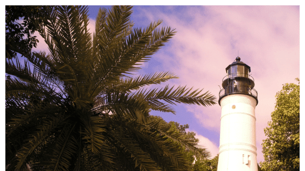 Photo of palm tree and Key West lighthouse