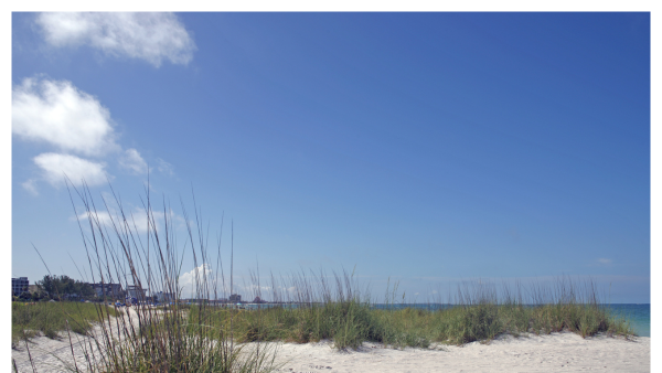 Image of Treasure Island FL grassy dunes and beach