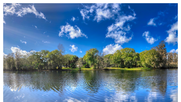 Panoramic view of Lettuce Lake Park in Tampa, FL