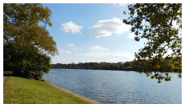 Image of Schuylkill River banks with trees and green grass