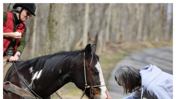 Image of horseback rider and person interacting on Percy Warner Park trail