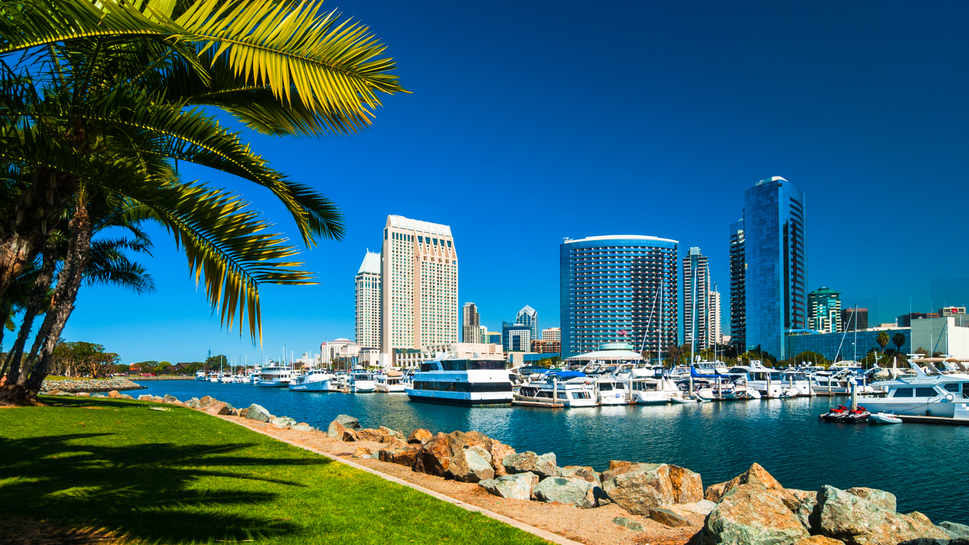 View of San Diego waterfront skyline with boats and hotels