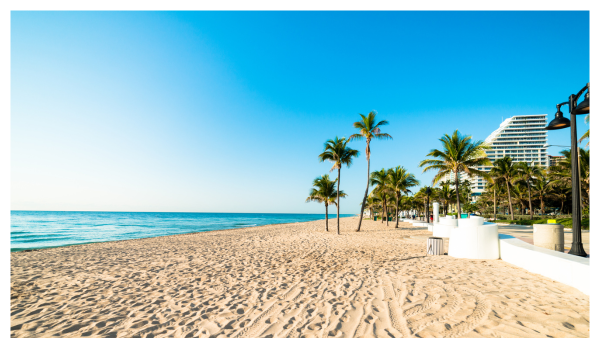 View of the sandy beach and palm trees in Fort Lauderdale