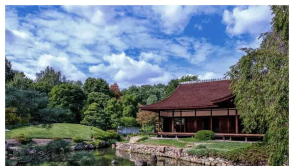 Peaceful pond and lush greenery under a Blue sky with clouds at the Shofuso Japanese Cultural Center