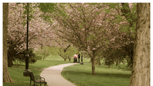 View of Loose Park in Kansas City