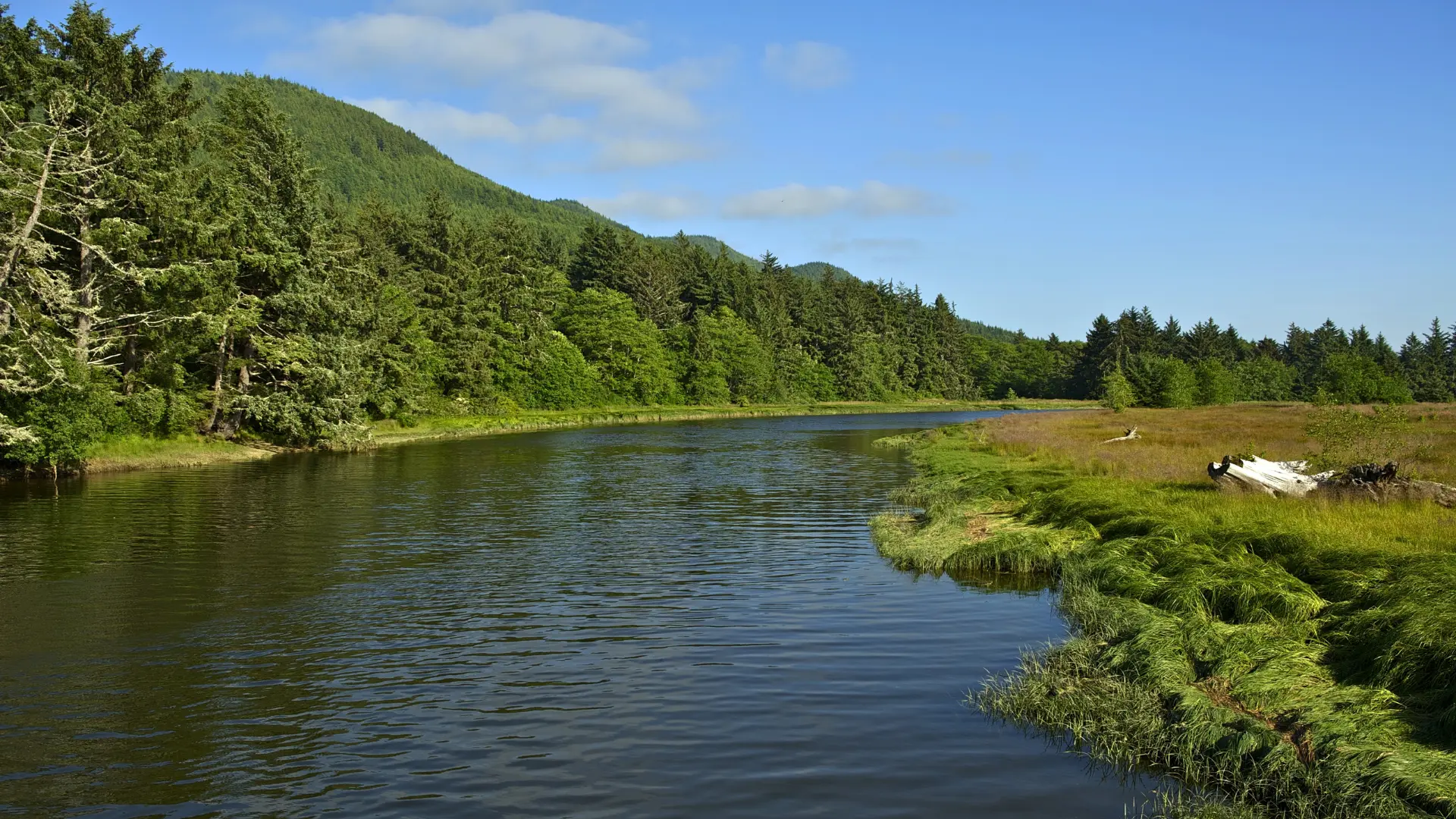 View of a river in Northern California