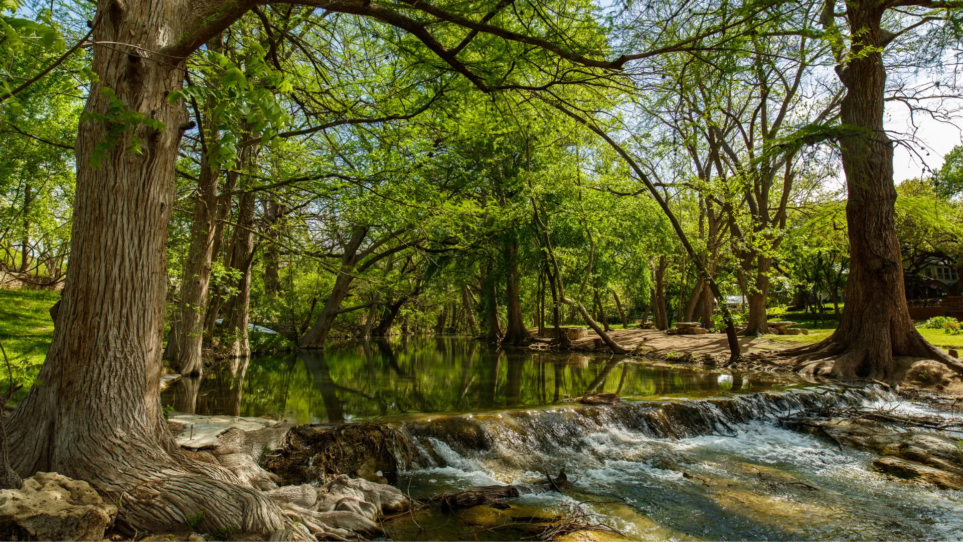 View of a rushing creek near Wimberely, Texas