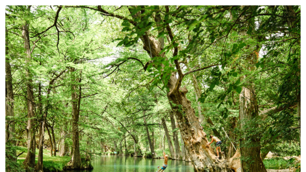 View of kids rope swinging into Blue Hole natural swimming area