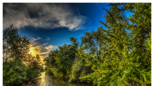 View of the Boise River Greenbelt area